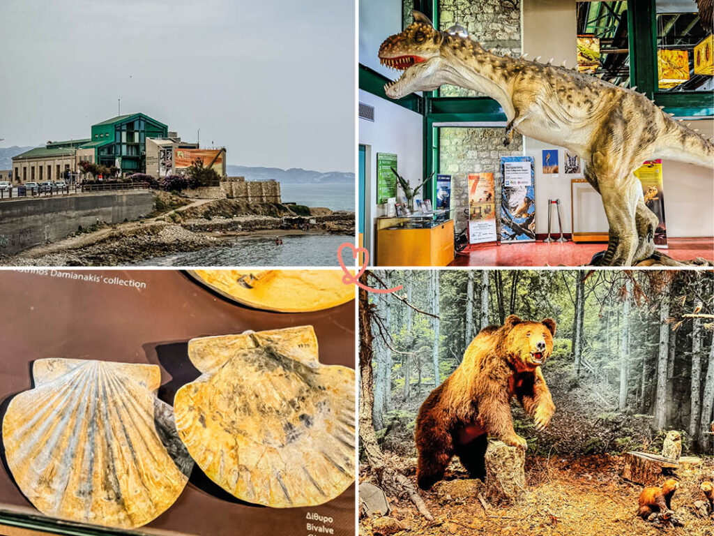 besøg-museum-naturhistorie-kridt-heraklion